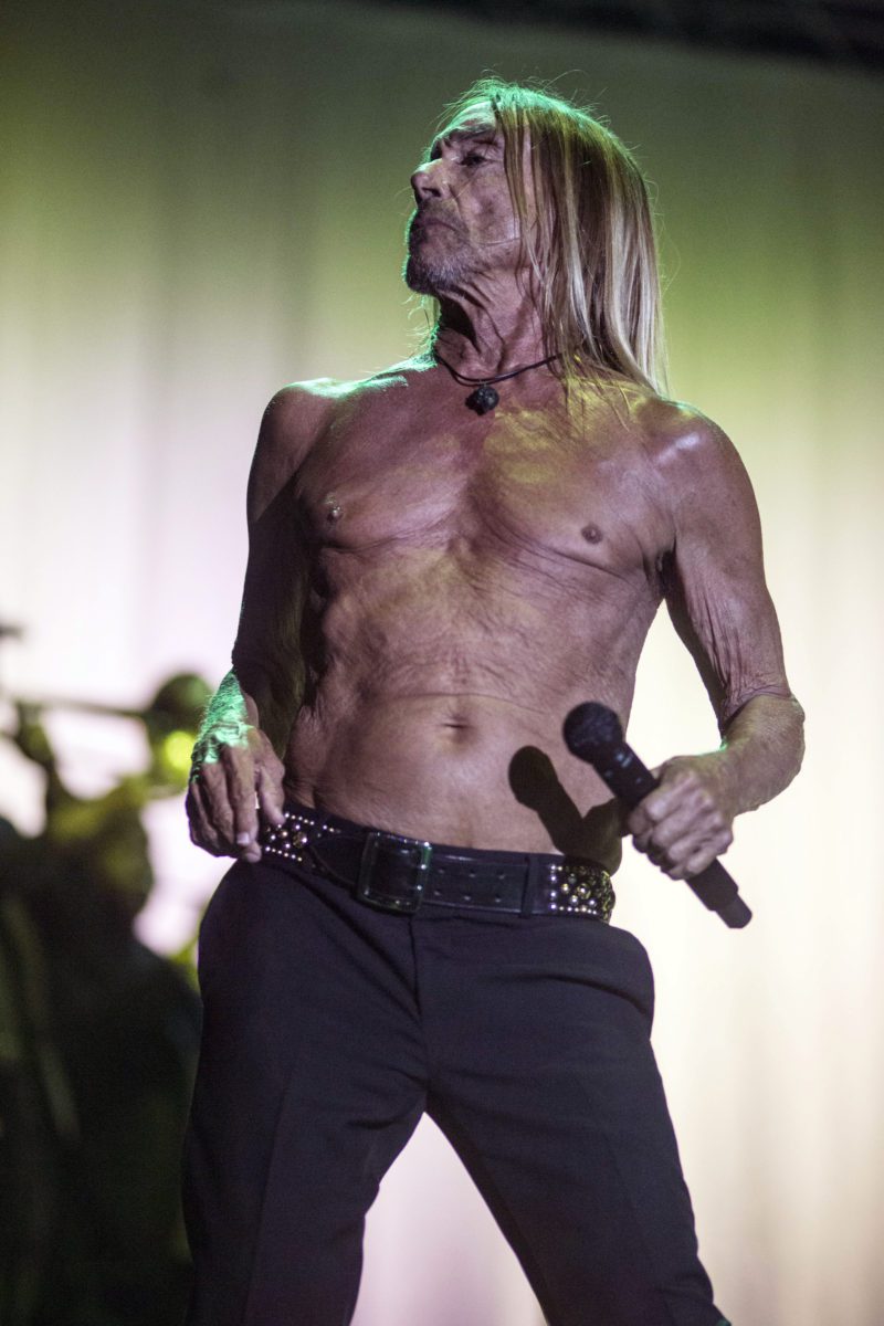 IGGY POP scaled 1