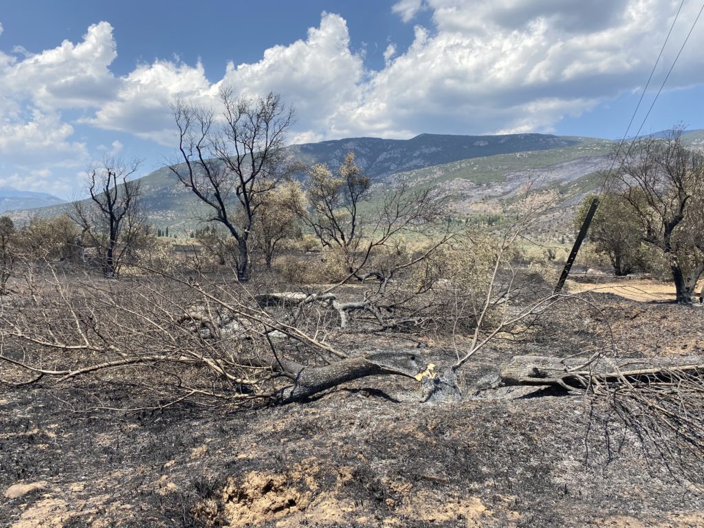 image00001 1024x768 1