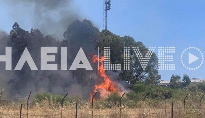 Ηλεία: Φωτιά στον Πύργο κοντά σε σπίτια - Ισχυρές δυνάμεις σε δύο σημεία