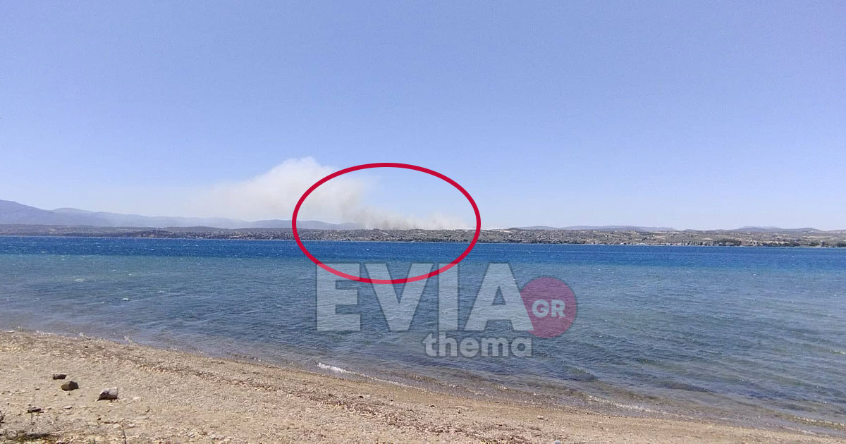 ΕΚΤΑΚΤΟ: Μεγάλη πυρκαγιά ανάμεσα σε Δήλεσι και Σχηματάρι