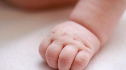 χέρι νεογέννητου μωρού κοντά διπλώματα φωτογραφία υψηλής ποιότητας 227043788