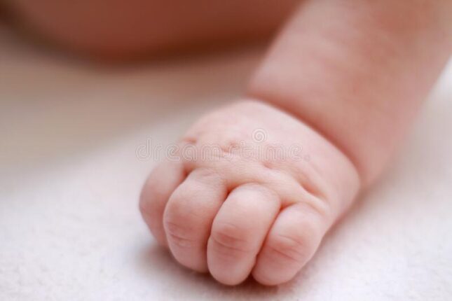 χέρι νεογέννητου μωρού κοντά διπλώματα φωτογραφία υψηλής ποιότητας 227043788