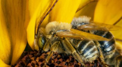 dustin humes xk 2qG2qA34 unsplash