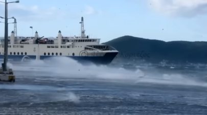 Screenshot 2023 11 18 214254