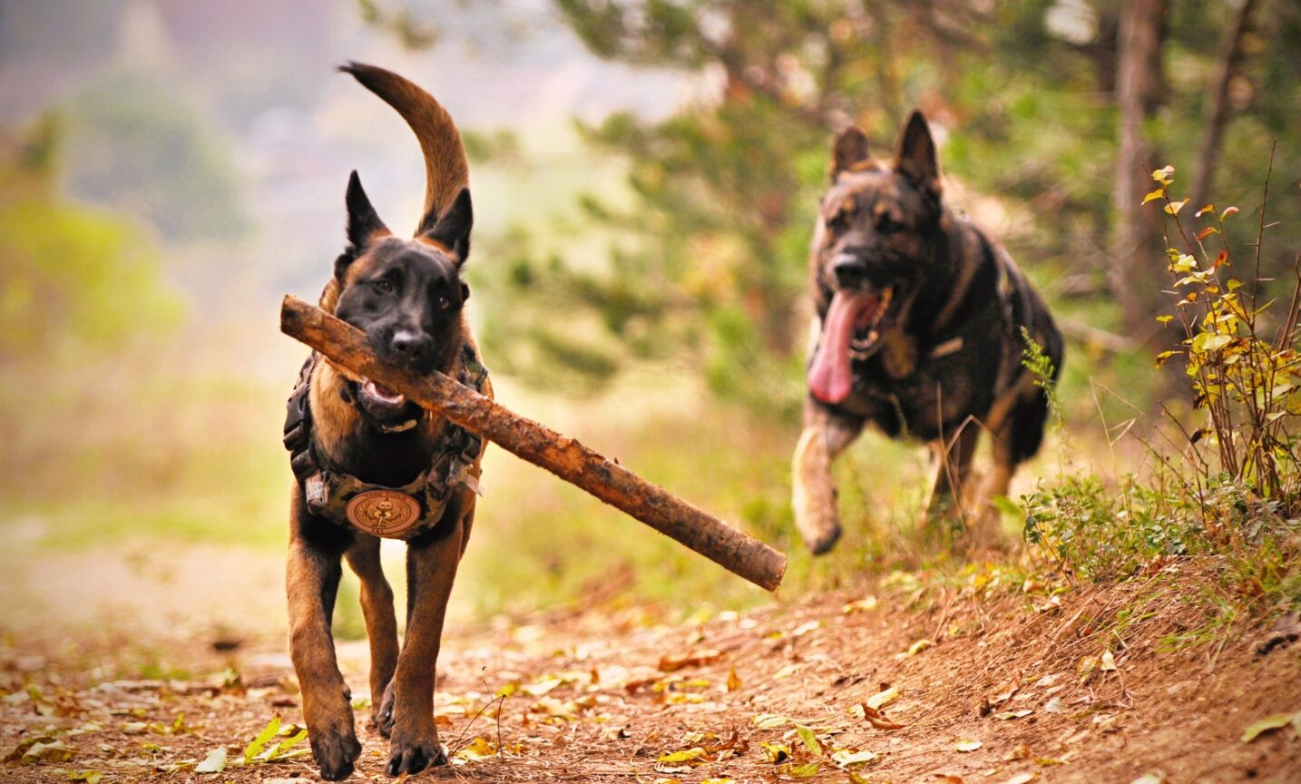 Θεσσαλονίκη