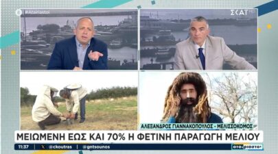 Μελισσοκόμος