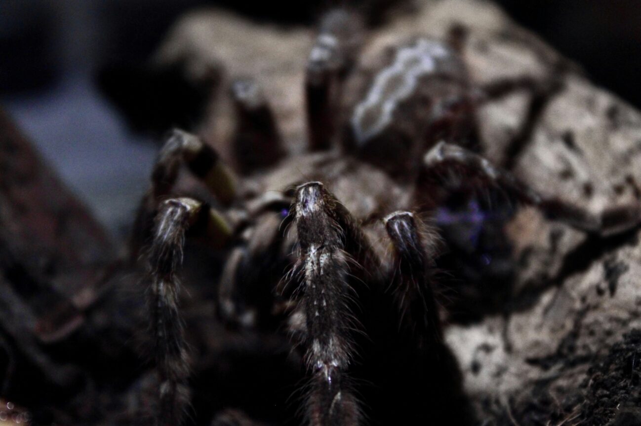 tamara gore ElMbJG6A5E8 unsplash