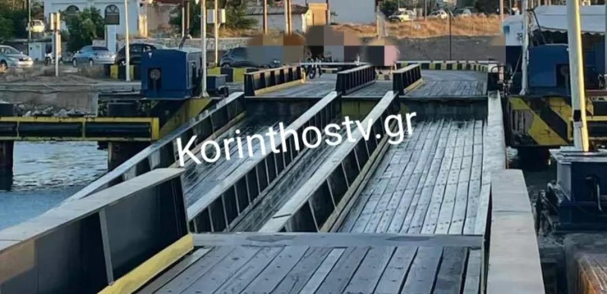 gefira posidoneia 22