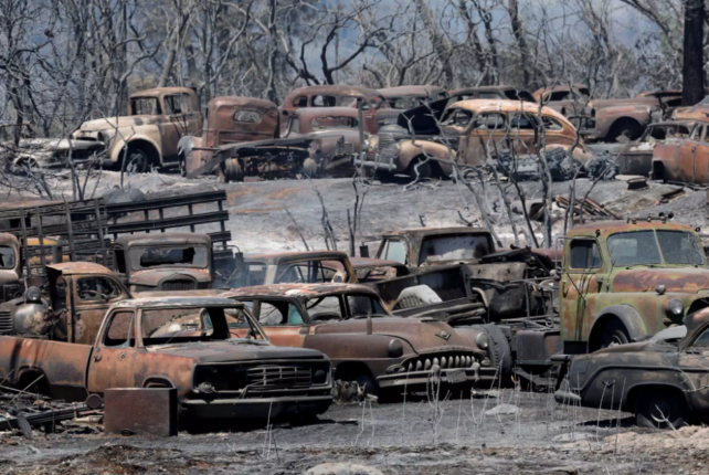 καλιφρονια