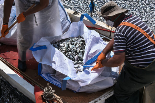 Φωτογραφία για: Πόλεμος ευθυνών για τα νεκρά ψάρια στο Βόλο - Κουρέτας προς Μπέο: «Το Θεσσαλικό Θέατρο έχασε έναν μεγάλο πρωταγωνιστή» 3 6296226