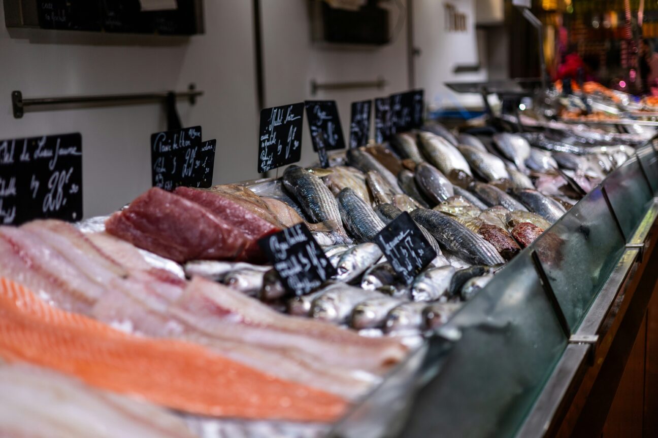 mirza polat lvue2iix4nE unsplash