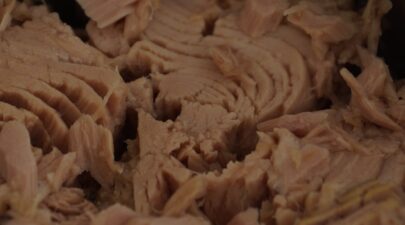 tuna 439755 1280
