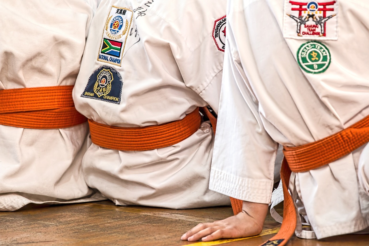 karate 1665747 1280