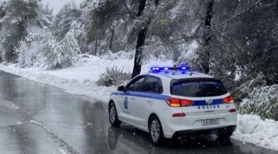 αστυνομιαχιονια