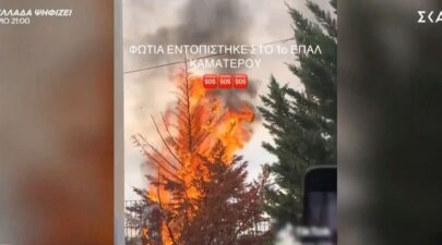 profile player 960x540 8