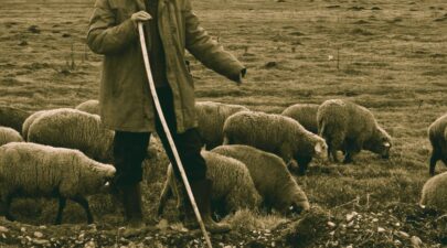 κτηνοτροφος