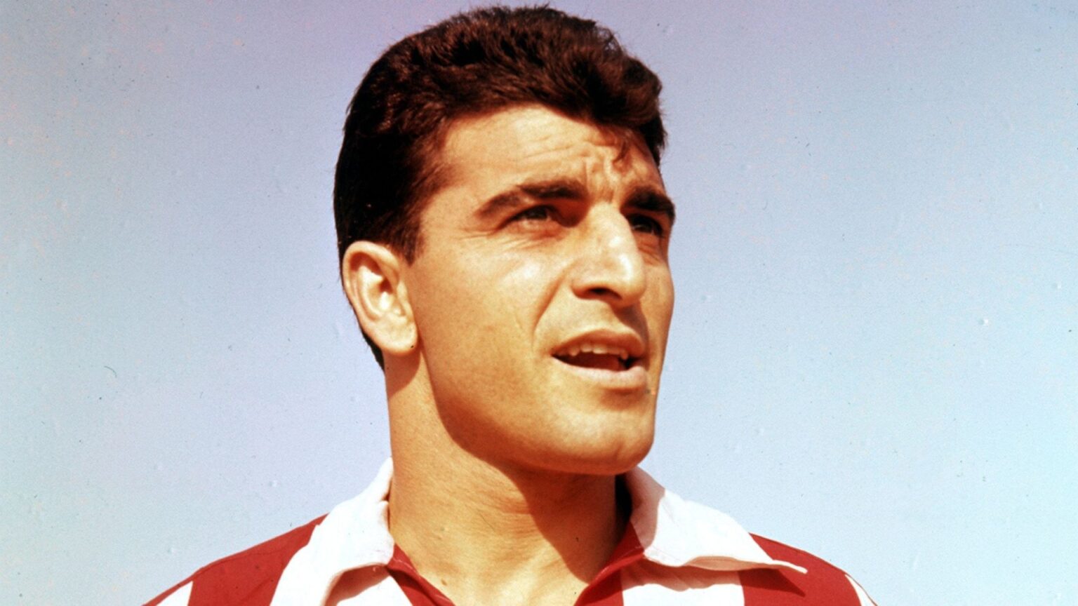 παπαζογλου