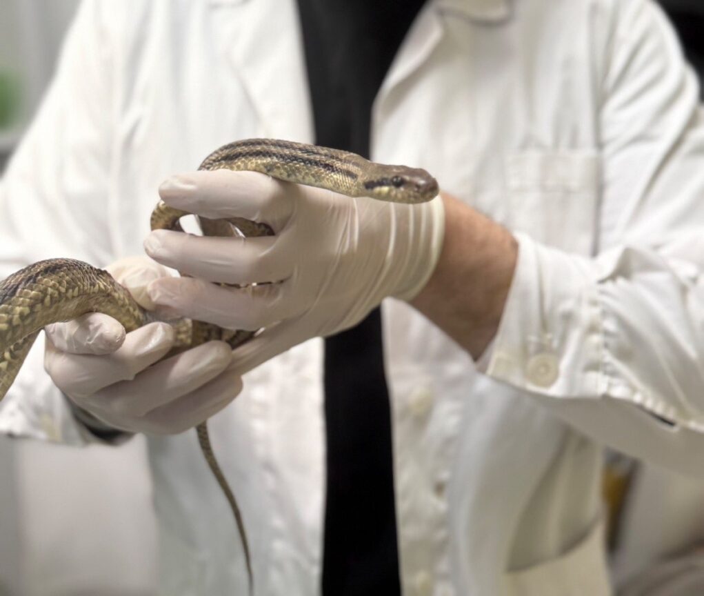 489951279 1151128807050503 4889763909640379868 n