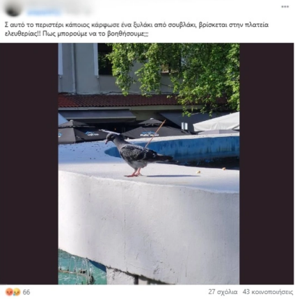 Καταγραφή 22