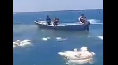 Καταγραφή 38