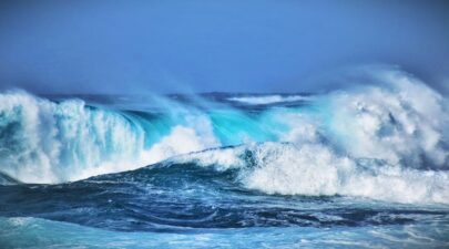 1e06da07 58b1 4d65 ad94 3038e917191b