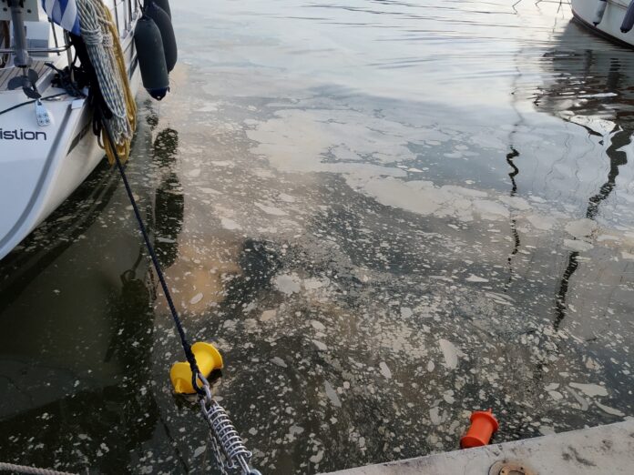 495286227 10236965529378878 2085 696x522 1