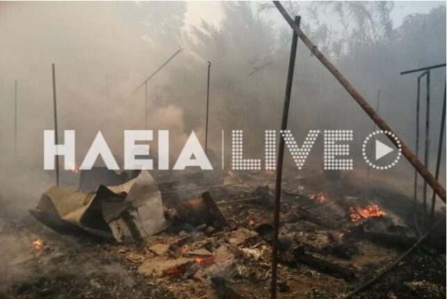 manolada fotia 2