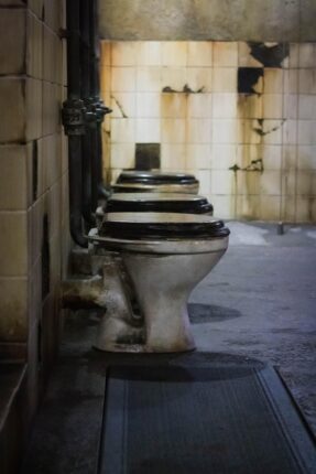 toilets 5885484 1280