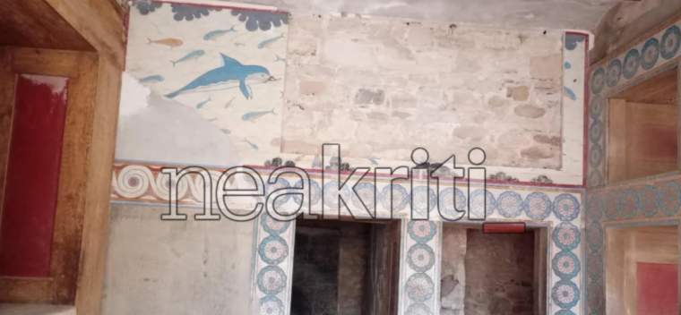 δελφινια