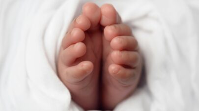 pexels daisy laparra 205150 826723