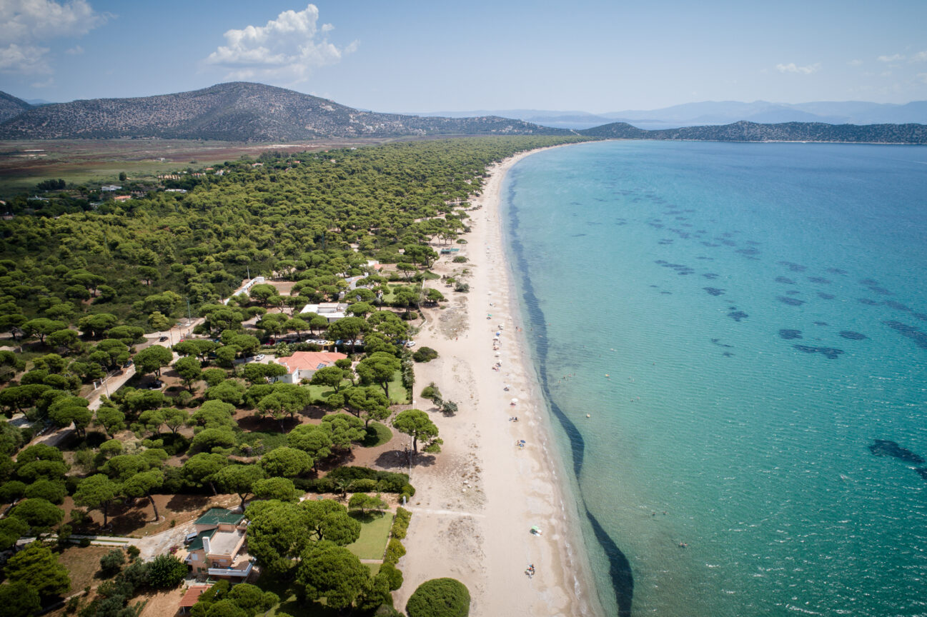 Σχινιάς: Κατεπείγουσα εισαγγελική έρευνα για αυθαίρετα bungalows στο Εθνικό Πάρκο