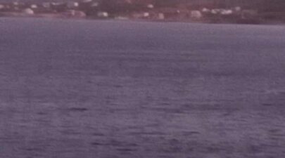 521593520 724615970201419 7699628420991204188 n