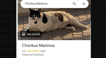 Chonkus Maximus