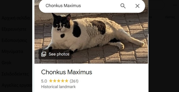 Chonkus Maximus