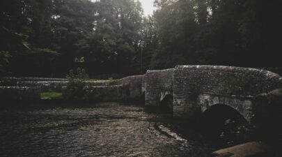 pexels samjjohnson 1717068