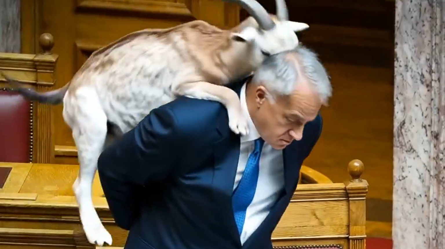 Βορίδης