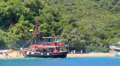 11d9f37a 87b9 4d8b a431 c5907bcb7b9f