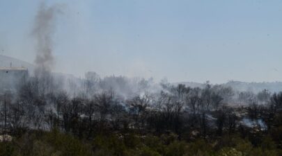 6620263 1 1024x683 1