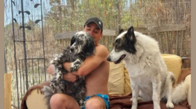 Screenshot 2025 08 31 185526