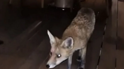 Screenshot 2025 09 27 180443