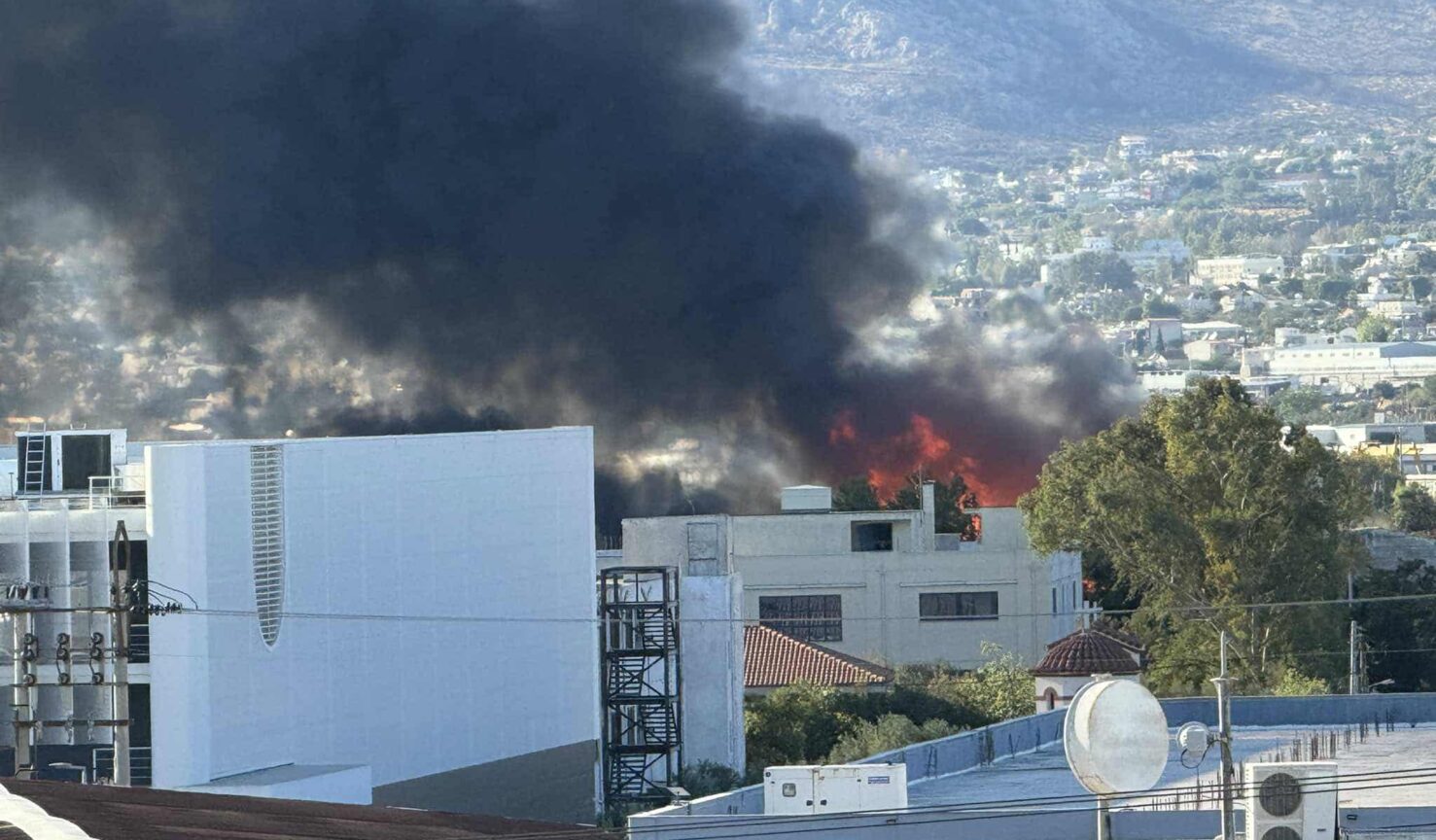 menidi e1758293448819