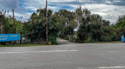 foinikoynta 1536x1152 1