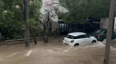 31a996a0 e0c3 40b0 ae00 71bae21821fb