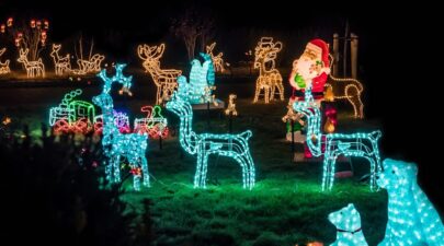 45cd384f c89f 4017 81b6 4fd6f0d160a7