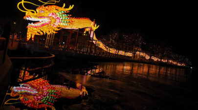 China Dragon Distinction