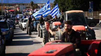 agrotes 11 1024x577 1