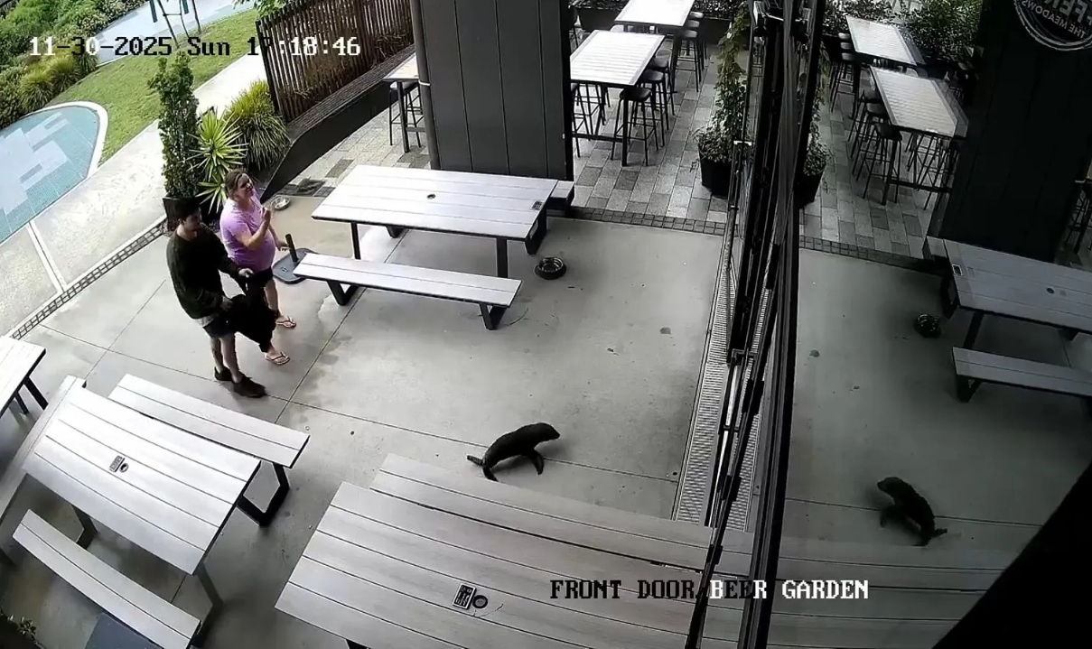 Νέα Ζηλανδία