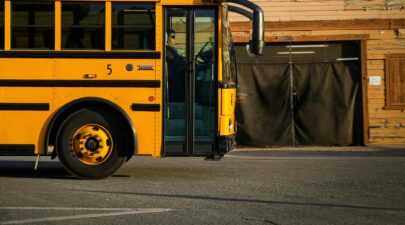 pexels ninobur 18905941