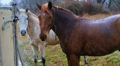 Screenshot 2026 01 11 194956