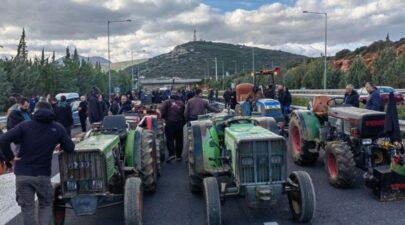agrotes 52 1024x577 1